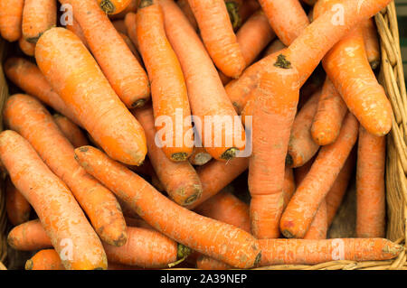 Rosso, lavate le carote giacciono sulla vetrina di vendita. Close-up Foto Stock