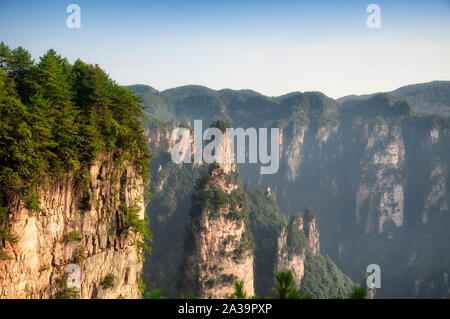 Le insolite formazioni rocciose e pilastri di Zhangjiajie Forest park nella provincia del Hunan Cina al trono degli imperatori entro il tianzhi shan scenic area. Foto Stock