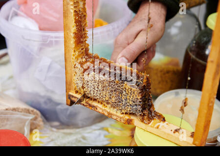 Mano d'uomo taglia un pezzo di appetitosi a nido d'ape con il coltello. La vendita di miele artigianale nel mercato. Degustazione closeup. Honey Farm. Foto Stock