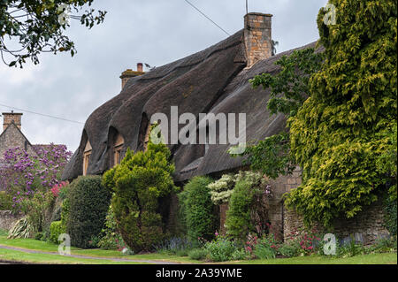 Cottage con il tetto di paglia con piante rampicanti nel villaggio di Broadway, nella contea inglese del Worcestershire, Cotswolds, REGNO UNITO Foto Stock