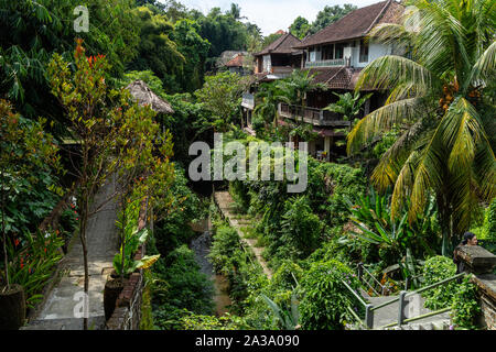 Una vista di alberi tropicali e sullo skyline in Indonesia Foto Stock