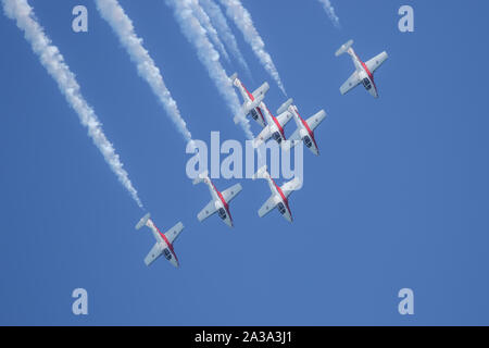 Royal Canadian Air Force Il Snowbirds. Eseguire presso il grande Airshow Pacifico Huntington Beach California USA. l'Airshow di più grande negli Stati Uniti Foto Stock