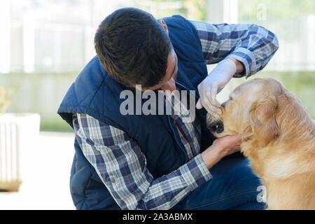 Vet maschio sul cane dentale controllo Foto Stock