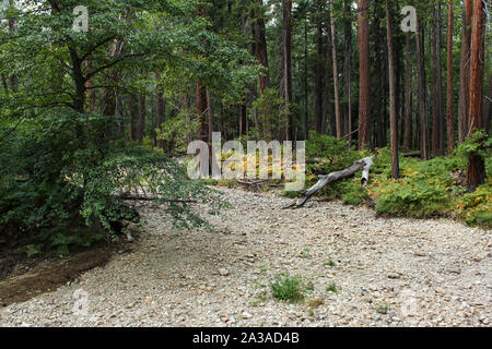 Letto asciutto del fiume di acqua da Yosemite Falls, del Parco Nazionale Yosemite in California Foto Stock