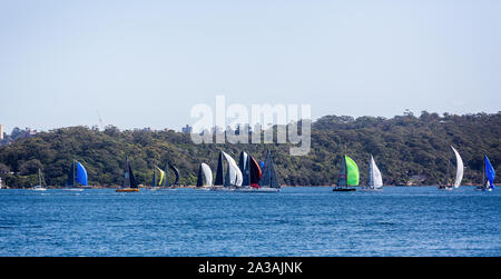 Colorato regata a vela nel porto di Sydney, Sydney, Australia il 27 settembre 2019 Foto Stock