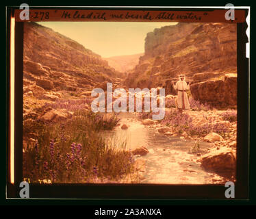 Serie di tredici selezionare diapositive di pastore la vita che illustra la XXIII Salmo. Egli mi spinge ad acque tranquille Foto Stock