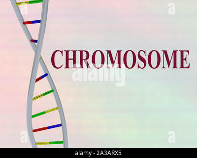 3D illustrazione del cromosoma script con la doppia elica del DNA , isolato su sfondo colorato. Foto Stock
