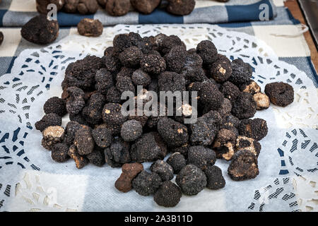 Vista del famoso tartufo nero su bianco il tovagliolo in Alba, Italia. Foto Stock