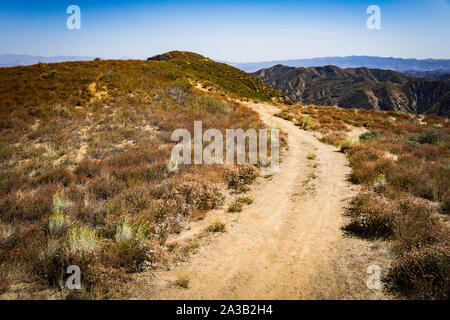 Spazzola cresce a fianco di una sporcizia sentiero escursionistico sul pendio di una collina nel sud della California's montagne. Foto Stock