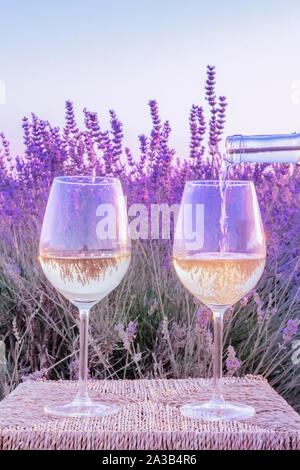 Vino di lavanda. Vino bianco versata da una bottiglia in bicchieri contro un campo di lavanda sfondo, immagine dai toni Foto Stock