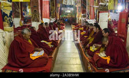 I monaci buddisti leggere scritture come adorare nella Coqen Hall principale o Assembly Hall nel monastero di Ganden Wangbur sulla montagna vicino a Lhasa, in Tibet. Foto Stock