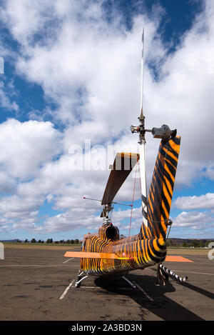 Vryheid, Sud Africa, 1 ottobre 2019. Un Bell Huey elicottero con una tigre personalizzati motif paint job è pronta per azione durante la stagione di estinzione in Vryheid, Sud Africa. Bell Huey elicotteri sono un iconico modello sviluppato per i militari USA e ampiamente utilizzato durante e dopo la guerra del Vietnam. Foto Stock