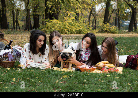 Gruppo di giovani donne che hanno un picnic divertente al parco, giocando con un cane pug. Foto Stock