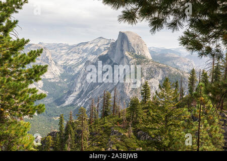 Vista di mezza cupola incorniciata da pini tree s nel Parco Nazionale di Yosemite, presi dai quattro miglia di trail a Glacier Point nel settembre 2019. Foto Stock