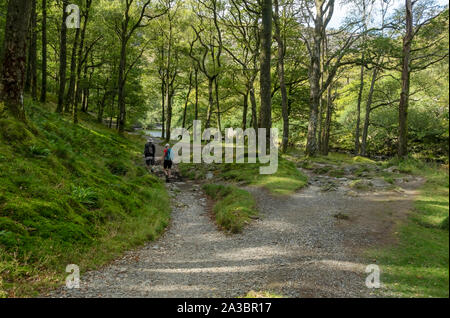 Gente camminatori che camminano nel bosco in estate accanto al fiume Derwent Cumbria Way vicino Grange Borrowdale Lake District National Park Cumbria Inghilterra UK Foto Stock