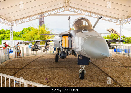 Foto di un F39 Gripen dal marchio svedese Saab. Mostra di acquisizione dei modelli da parte del governo brasiliano. Foto Stock