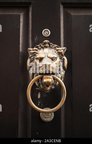 Vecchio classico masaneta in forma di testa di leone con anello montato su dark vintage porta di legno, close-up foto Foto Stock