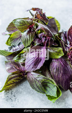 Mazzetto di viola le foglie di basilico / Viola pronto per l'uso. Prodotto organico. Foto Stock