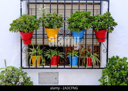 Una finestra di visualizzazione colorata fioriere nel villaggio bianco di Frigiliana, Nerja, Axarquia, Malaga, Spagna. Foto Stock