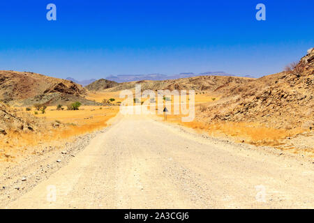 Una strada sterrata che conduce attraverso un caldo e arido paesaggio con le montagne sullo sfondo, Damaraland, Namibia, Africa Foto Stock