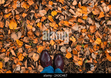 Caduta, autunno, foglie, gambe e scarpe. Immagine concettuale di gambe stivali sulle foglie di autunno. Piedi scarpe a piedi nella natura. Foto Stock