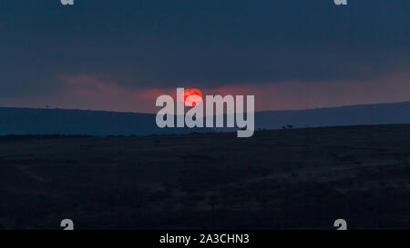 Sun impostazione sulla fauna africana deserto paesaggio del terreno. Foto Stock
