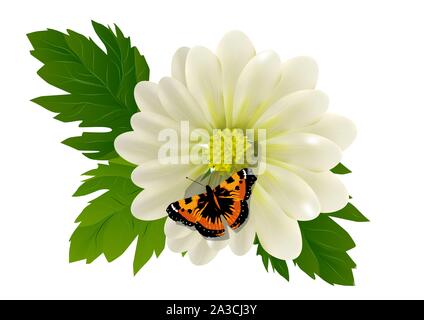 Fiore e butterfly isolati su sfondo bianco Illustrazione Vettoriale