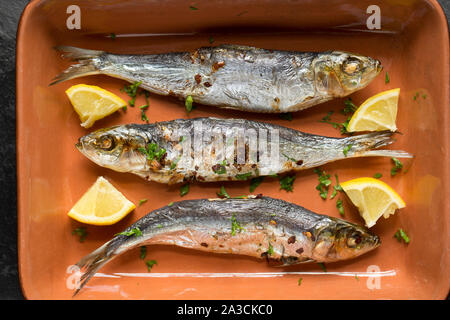 Cornish sardine, Sardina pilchardus, acquistato da un supermercato nel Regno Unito e in grigliato in un forno di alogeno con finocchio e burro alle erbe. Nel Regno Unito la sardina Foto Stock