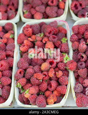 Fresche lamponi maturi in scatole di legno. Rosso lampone berry, cibo natura sfondo verticale. Lamponi sul contatore di un mercato degli agricoltori, un mazzetto Foto Stock
