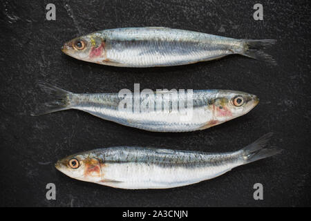 Tre materie non cotti Cornish sardine, Sardina pilchardus, acquistato da un supermercato nel Regno Unito. Nel Regno Unito le sardine al di sopra di una certa dimensione sono noti come pi Foto Stock