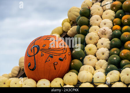 Diversi tipi di zucche fianco a fianco Foto Stock