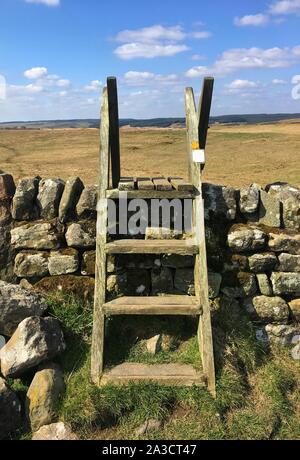 Scaletta in legno stile su pietre a secco a parete, sul percorso a piedi a Haydon Bridge vicino al Muro di Adriano, Northumberland National Park. Foto Stock