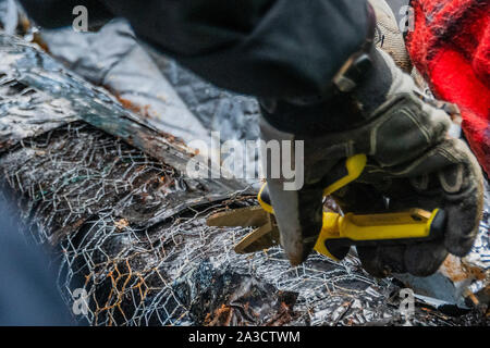 Londra, Regno Unito. 7 Ott 2019. La Polizia comincia a separare i manifestanti bloccando Whitehall - estinzione della ribellione avviare l'azione di ottobre che si bloccano strade nel centro di Londra per un massimo di due settimane. Essi sono sottolineando nuovamente l'emergenza climatica, in una corsa contro il tempo per salvare il mondo da una catastrofe climatica. Questa è una parte del continuo ER e altre proteste di domanda di azione da parte del governo del Regno Unito sul clima di "crisi". L'azione è parte di un internazionale coordinato di protesta. Credito: Guy Bell/Alamy Live News Foto Stock