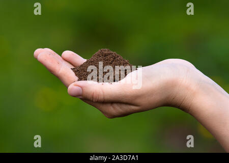 Terreno fertile in mani di donne su sfondo sfocato Foto Stock