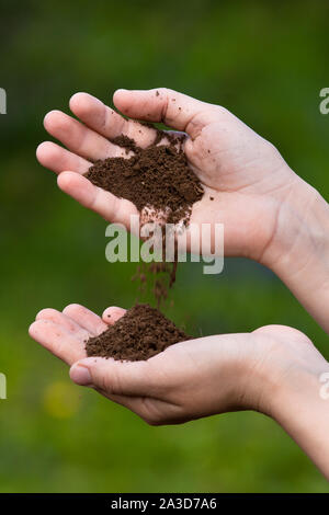 Terreno Fertile nella mani della donna su sfondo sfocato Foto Stock