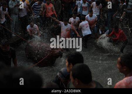 Bhaktapur, Nepal. 07 ott 2019. Devoti nepalesi gli spruzzi di acqua a Buffalo sulle rive di un fiume prima di un sacrificio durante una cerimonia sacrificale al nono giorno del festival di Dashain in Bhaktapur periferia della valle di Kathmandu in Nepal il 07 ottobre 2019. Dashain è la più lunga e la più promettente festival in Nepal offrendo la devozione verso la dea Durga. È celebrato per dieci giorni da Nepalese persone indù. (Foto di Subash Shrestha che/Pacific Stampa) Credito: Pacific Press Agency/Alamy Live News Foto Stock