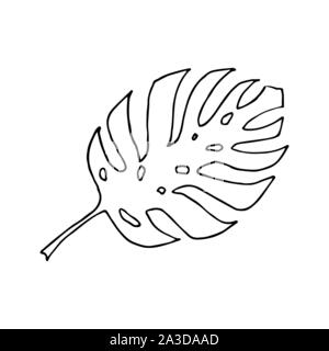 Impianto di monstera foglia. Line art doodle sketch. Contorno nero su sfondo bianco. Immagine può essere utilizzato in biglietti di auguri, poster, volantini, banner, logo, disegno botanico ecc. Illustrazione Vettoriale. EPS10 Illustrazione Vettoriale