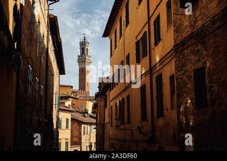 Antica torre in mattoni e stretto vicolo ombreggiato nella città vecchia in Toscana Foto Stock