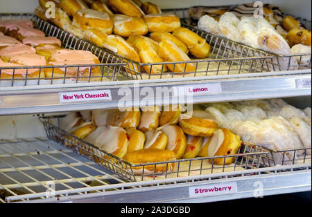 Cestelli di deliziose ciambelle con molti sapori sono in vendita presso un negozio di ciambella in Michigan STATI UNITI Foto Stock