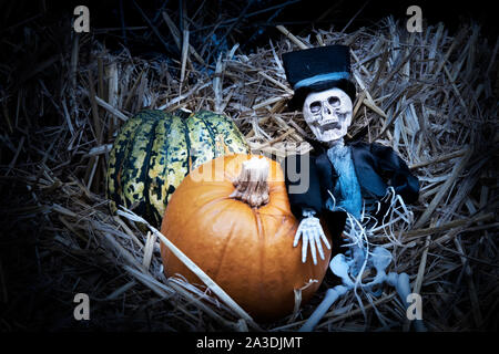 Lo scheletro seduto sul fieno vicino a decorazione zucca di halloween notte. Happy halloween concetto. Foto Stock