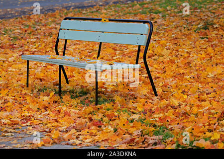 Panca in legno circondato con giallo caduto foglie di acero nel parco in un giorno di autunno. Foto Stock