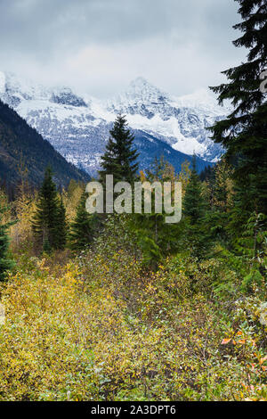 I colori autunnali contro il Selkirk Mountains visto dal rocky mountaineer treno turistico in British Columbia Canada Foto Stock