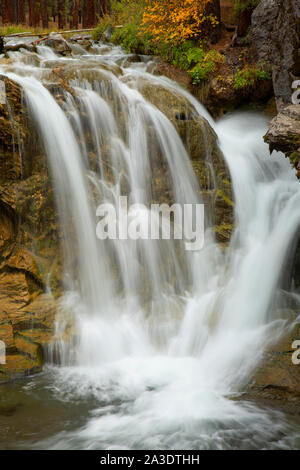 Ricade su di Paulina Creek a McKay attraversando campeggio, Deschutes National Forest, Oregon Foto Stock