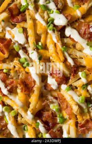 In casa di Bacon Cheddar Ranch le patatine fritte con erba cipollina Foto Stock