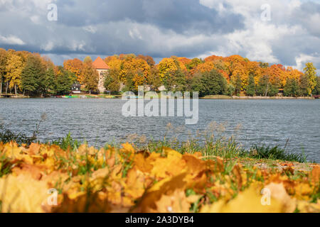 Foresta con verde brillante, giallo e alberi di arancio, il lago e il castello, splendido paesaggio autunnale, cielo nuvoloso dopo la pioggia Foto Stock