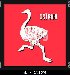 A base di carne di struzzo e grafici di taglio illustrazione vettoriale per negozio di macellaio guida. Etichetta per farm design Illustrazione Vettoriale