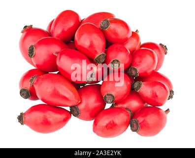 Pila di red rose hips isolati su sfondo bianco. Fresche e mature cinorrodi dettaglio. Cumulo di Sweet Briar organici frutti. Una sana vitamine e carotenoidi. Foto Stock