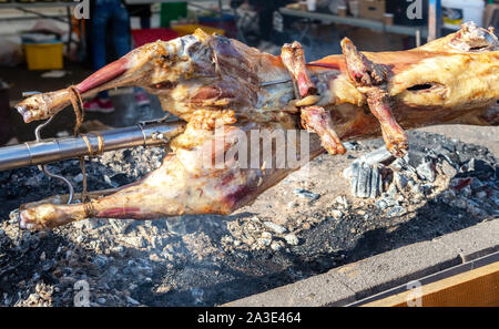 La cottura di carcasse di agnello allo spiedo su caldo carboncini all'aperto durante la vacanza. Tradizionale tostatura serbo di agnello o maiale barbecue Foto Stock