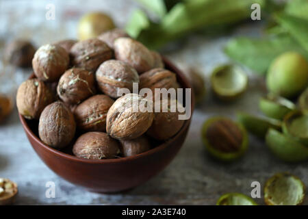 Noci di fresco in una ciotola. Il raccolto di noci. Noci pelate da gusci di verde. Le foglie di noce. Foto Stock