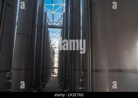 Moderna tecnologia di storage agro-industria, contenitori metallici per granella granaio business prospettiva sentiero . Grano-complesso di essiccazione, sementi commerciali Silo Foto Stock